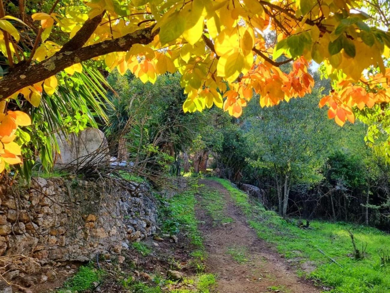 Centro De Naturaleza Canada Verde "El Parque De Naturaleza Con Mas Experiencias De Andalucia" Vila Hornachuelos Exterior foto