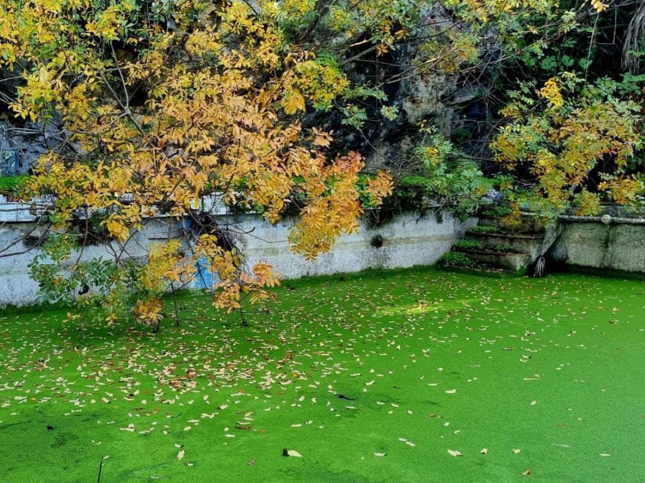 Centro De Naturaleza Canada Verde "El Parque De Naturaleza Con Mas Experiencias De Andalucia" Vila Hornachuelos Exterior foto