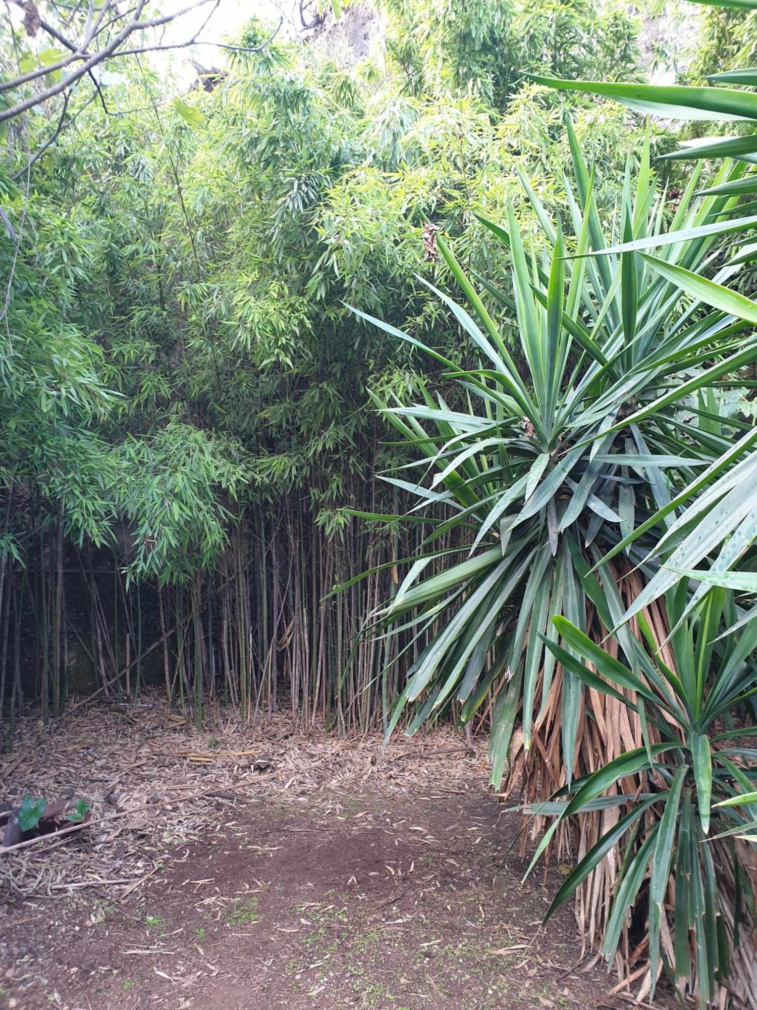 Centro De Naturaleza Canada Verde "El Parque De Naturaleza Con Mas Experiencias De Andalucia" Vila Hornachuelos Exterior foto