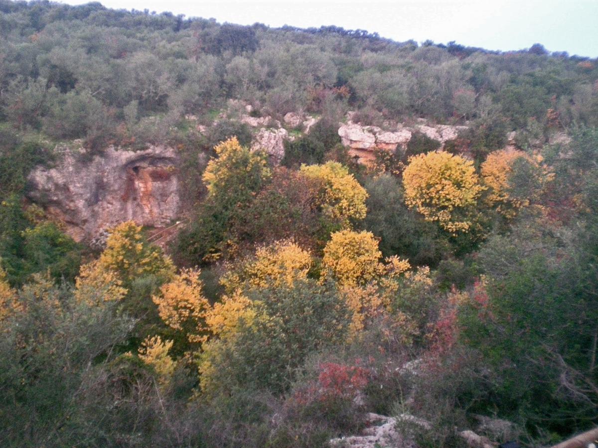 Centro De Naturaleza Canada Verde "El Parque De Naturaleza Con Mas Experiencias De Andalucia" Vila Hornachuelos Exterior foto