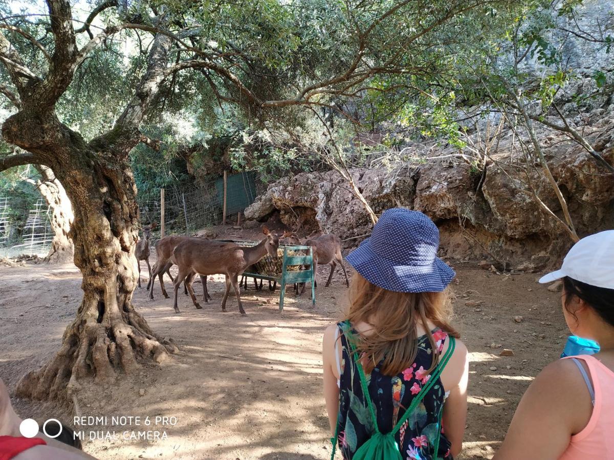 Centro De Naturaleza Canada Verde "El Parque De Naturaleza Con Mas Experiencias De Andalucia" Vila Hornachuelos Exterior foto